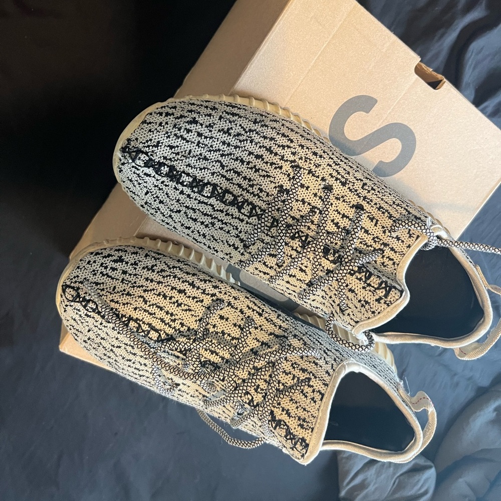 Yeezys 350 v1 Turtle dove